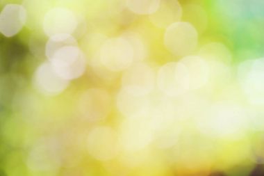 yeşil renk arka plan bulanık odak bokeh için şablon ışık ile