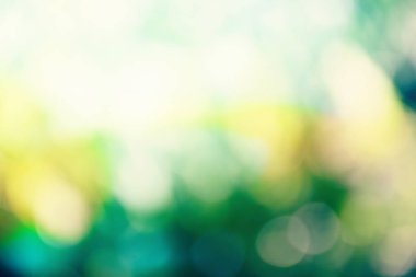 yeşil renk arka plan bulanık odak bokeh için şablon ışık ile