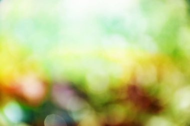 karışık renkli arka plan bulanık odak bokeh için şablon ışık ile