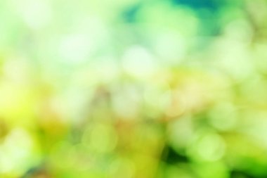 yeşil renk arka plan bulanık odak bokeh için şablon ışık ile