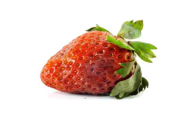 Rotten Strawberries White Background — Stock Photo, Image