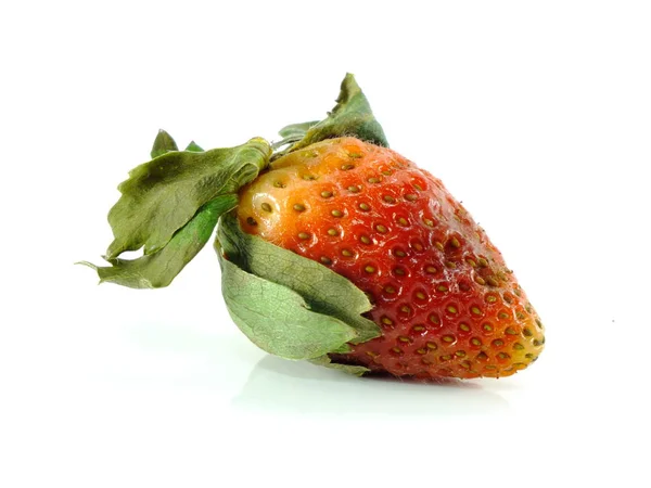 Rotten Strawberries White Background — Stock Photo, Image