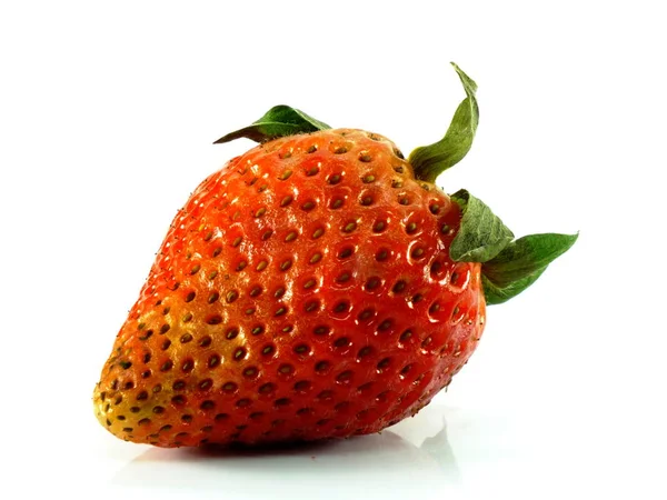 Rotten Strawberries White Background — Stock Photo, Image