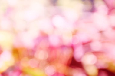 pembe renk arka plan bulanık odak bokeh için şablon ışık ile