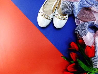 Kırmızı ve mavi zemin üzerine beyaz bale düz Bayan ayakkabıları