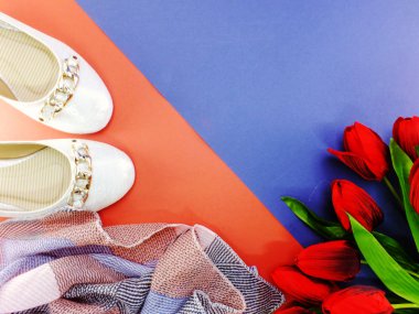 Kırmızı ve mavi zemin üzerine beyaz bale düz Bayan ayakkabıları