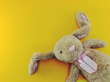 sevimli tavşan bebek alan kopya arka plan ile Üstten Görünüm