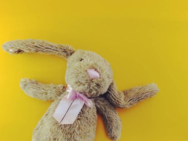 sevimli tavşan bebek alan kopya arka plan ile Üstten Görünüm