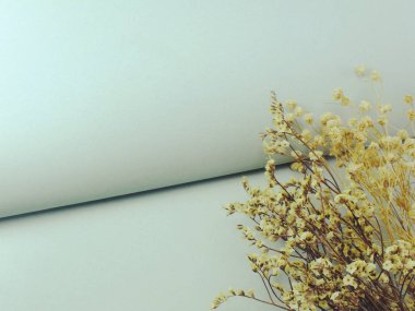 alan arka plan ile kuru çiçekler