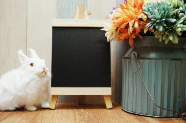 Tavşanlı ve uzay fotokopi sehpası arka planlı mutlu Paskalyalar.