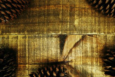 Çam kozalağı ile Rustik ahşap arka plan ile Tatil dekorasyon