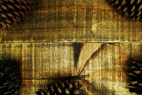 Çam kozalağı ile Rustik ahşap arka plan ile Tatil dekorasyon