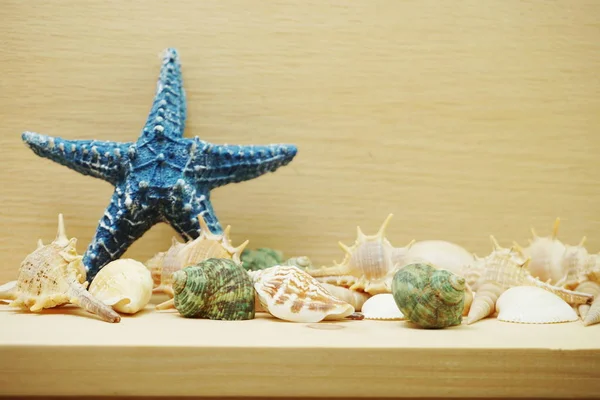 Blue starfish and seashell marine decoration with space copy on wooden background