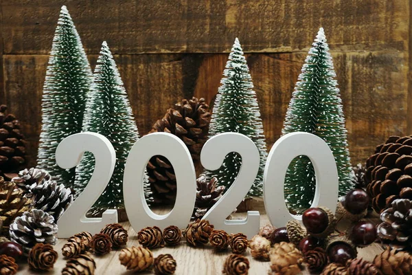 Feliz Ano Novo 2020 Fundo Festivo Com Árvore Natal Pinho — Fotografia de Stock