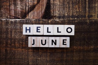 Hello June alphabet letter with space copy on wooden background