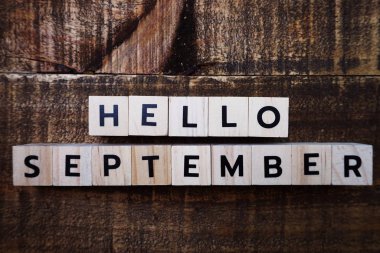 Görünüm Merhaba alfabesi harfleri ile ışık kutu ve ahşap arka plan üzerinde buket çiçekler Eylül top