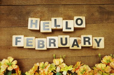 Hello February alphabet letters with space copy and flower on wooden background