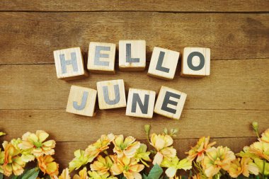 Hello June alphabet letters with space copy and flower on wooden background