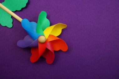 Mor arka planda izole edilmiş boşluk kopyasına sahip renkli fırıldak