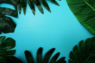 Monstera green leave with space copy on blue background