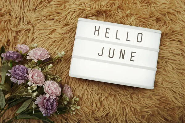 Hello June word in light box and flower bouquet