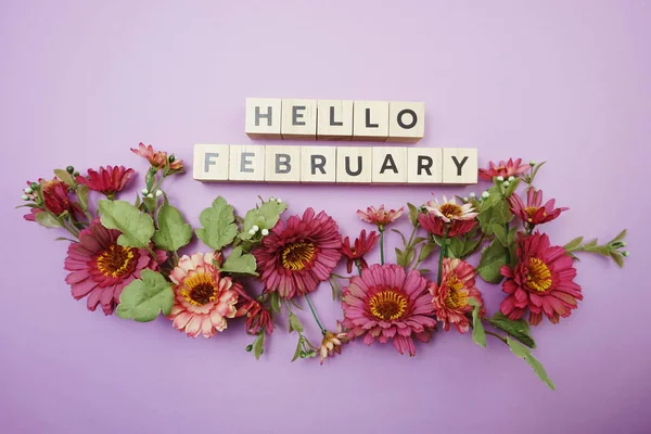 Hallo Februari Alfabet Letters Met Roze Bloem Decoratie Paarse Achtergrond — Stockfoto