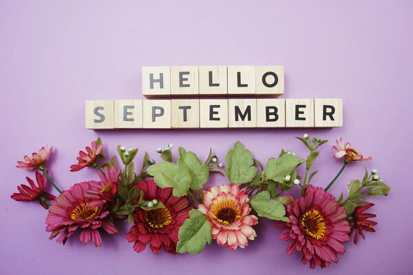 Hello September alphabet letters with pink flower decoration on purple background