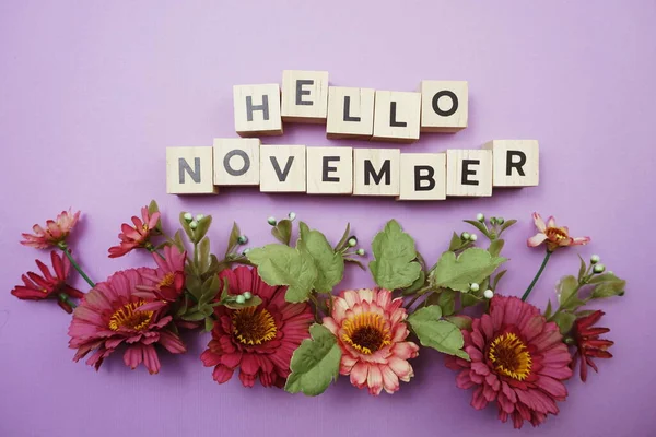 Буквы Hello November Розовым Цветочным Оформлением Фиолетовом Фоне — стоковое фото