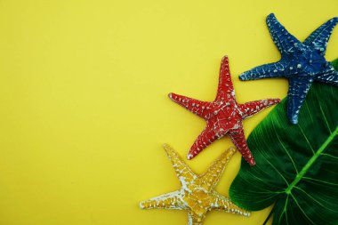 Yeşil izinli yaz arkaplanı konsepti ve sarı arka planda deniz yıldızı dekorasyonu