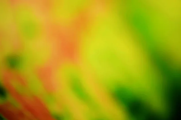 Colorful Abstract Blur Background — Stock Photo, Image