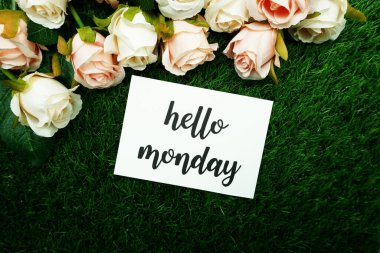 Merhaba Pazartesi Kartı ve Güller, alan kopyası arka planı