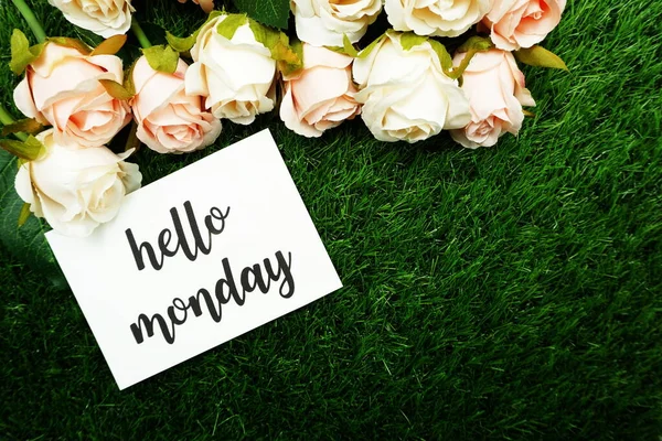 Hello Monday Carte Fleurs Roses Avec Fond Copie Espace — Photo