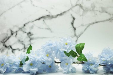 Üst Görünüm Çiçek Çerçevesi mermer zemin üzerinde kopyalama alanı ile