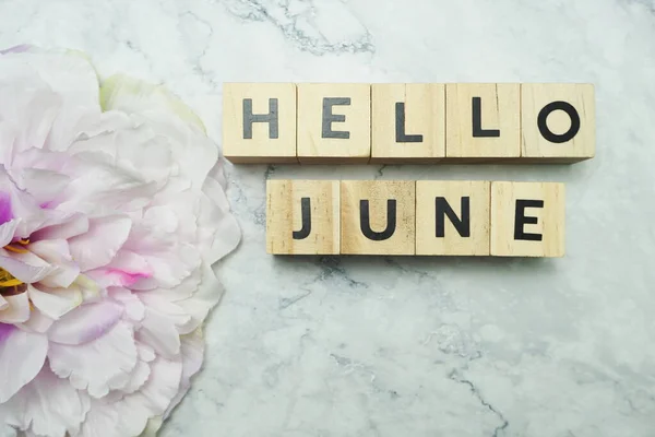 Hello June alphabet letters with pink flower decoration on marble background