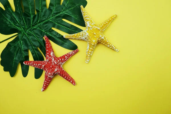 Concepto Fondo Verano Con Licencia Verde Decoración Estrellas Mar Sobre — Foto de Stock