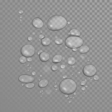 Su veya petrol üzerinde şeffaf arka plan damla