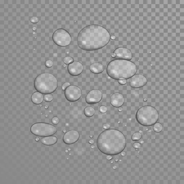 Gotas de agua o aceite sobre fondo transparente — Vector de stock