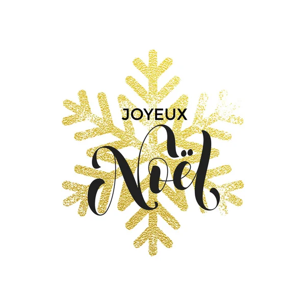 Francés Feliz Navidad Joyeux Noel copo de nieve tarjeta de felicitación — Vector de stock