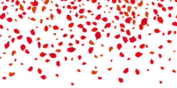 Flowers petals falling on vector transparent background — Stock Vector