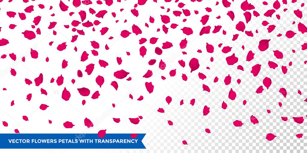 Flowers petals falling on vector transparent background — Stock Vector