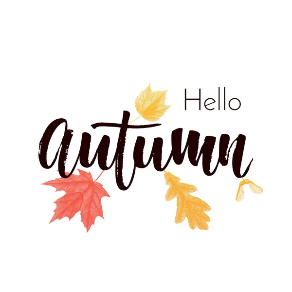 秋の葉秋メープル オーク ドングリのベクトル ポスター — ストックベクタ