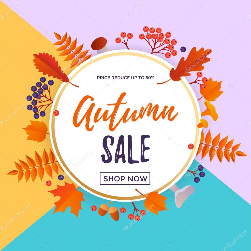 Autumn sale shopping discount vector poster fall maple leaf web banner