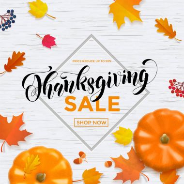 Şükran günü sonbahar satış afiş düşmek indirim sahil yolu Dükkanı teklif etmek vektör web afiş