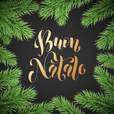 Buon Natale İtalyan neşeli Noel tatil altın elle çizilmiş hat metin tebrik kartı çelenk dekorasyon ve Noel köknar çelenk çerçeve için. Vektör altın yazı tipi metin siyah arka plan tasarımı