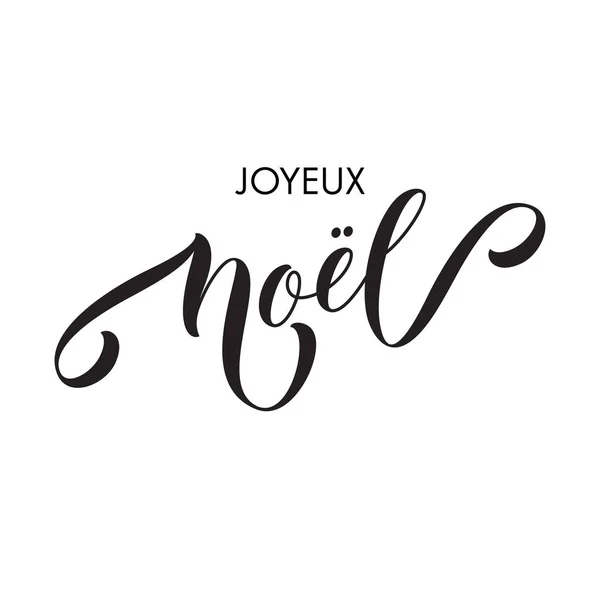 Merry Christmas Joyeux Noel franska handen ritade kalligrafi moderna bokstäver text för gratulationskort. Vector festliga blomstra prydnads kalligrafiska vintern julhelgen citat på vit bakgrund — Stock vektor