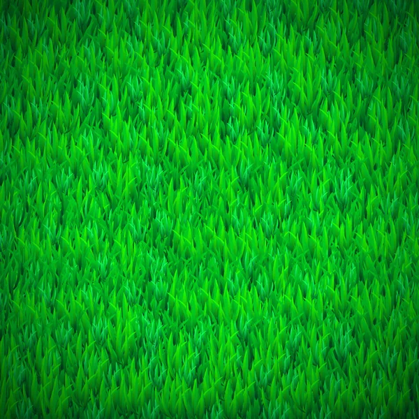 Fondo de hierba verde realista. Ilustración vectorial — Vector de stock