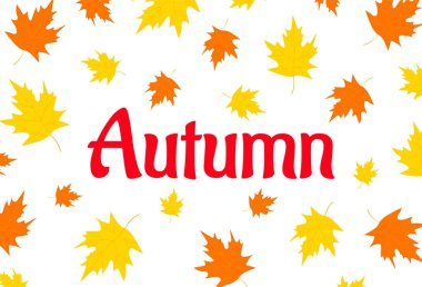 Renkli yapraklı sonbahar arkaplanı. 