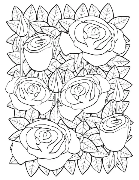 Roses Coloriage Illustration Vectorielle — Image vectorielle