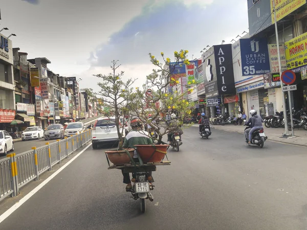 Les hommes qui conduisent un chariot un pot de fleurs d'abricot dans la rue pendant le Nouvel An lunaire 2017 — Photo