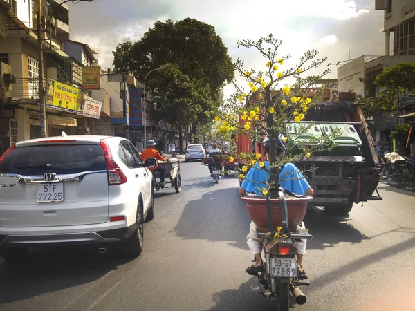 Les hommes qui conduisent un chariot un pot de fleurs d'abricot dans la rue pendant le Nouvel An lunaire 2017 — Photo